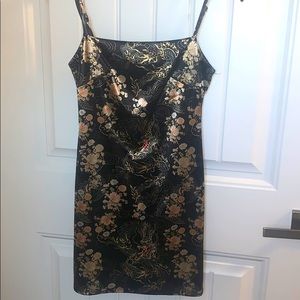 Dragon dress worn once